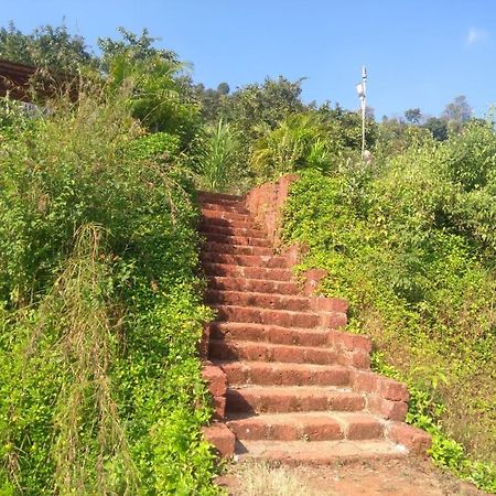 Koynanagar Vinee'S Kitchen And Motel מראה חיצוני תמונה